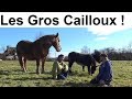 Lhistoire des gros cailloux 