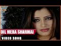 Naami Chor Hindi Dubbed Movie || Dil Mera Sharmai Video Song || Rishi || Eagle Entertainment Officia