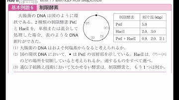 [演習動画] 生物；リードα 基本例題6 制限酵素