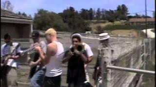 Mad Caddies - Road Rash