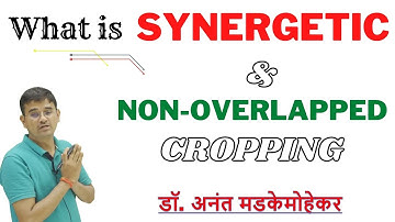 What is Synergetic and Sequential/Non overlapped cropping system?