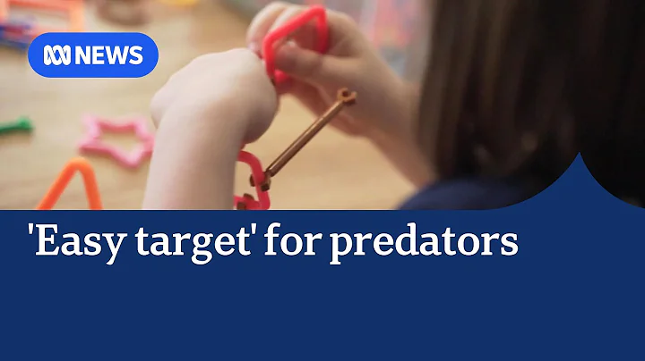 Childcare inquiry told industry an 'easy target' for predators | ABC NEWS