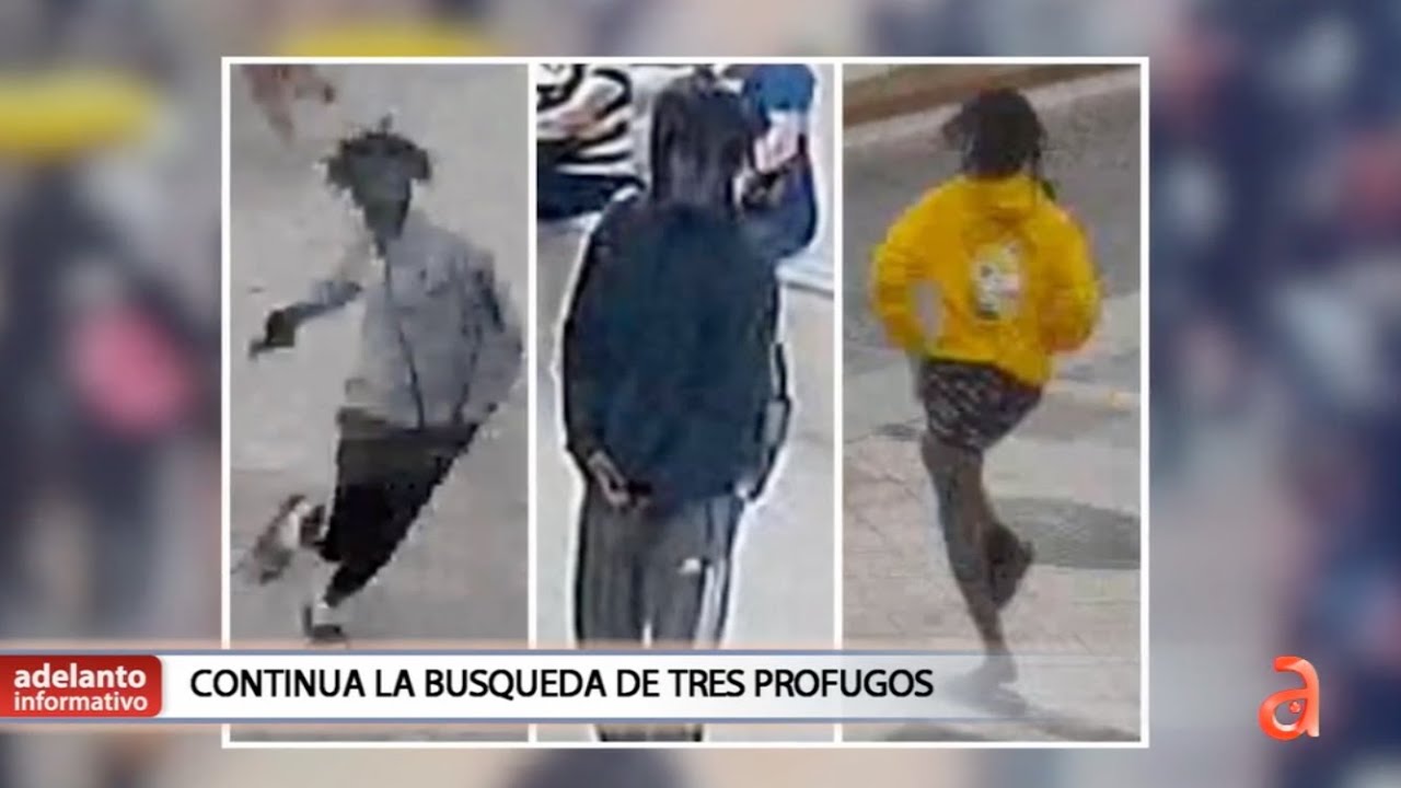 americateve | Continúa la búsqueda de tres hombres involucrados en tiroteo masivo en Hollywood Beach