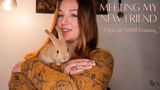 Say Hi To My New Bunny! 🐰 ASMR Soft Spoken screenshot 2