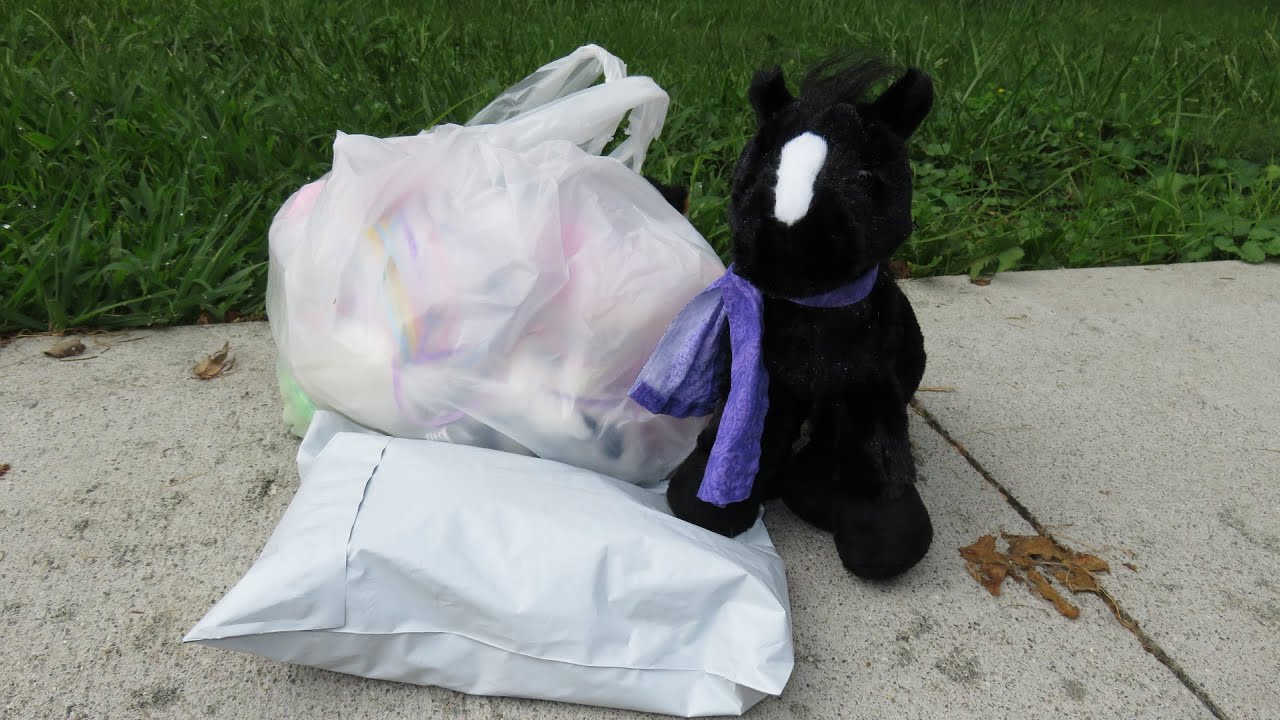 Webkinz Cat Package and more Thrift 'Kinz