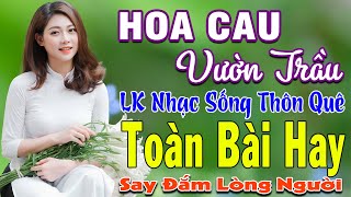 HOA CAU VƯỜN TRẦU ➤ MAI TIẾN ĐẠT ➤ LK Nhạc Sống Thôn Quê Toàn Bài Hay KHÔNG QUẢNG CÁO NGỌT LỊM TIM