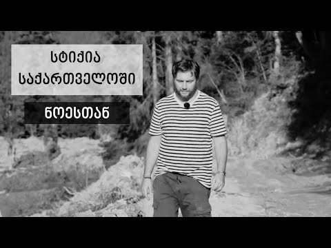 Natural disaster in Georgia #WithNoe | სტიქია საქართველოში #ნოესთან