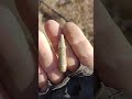 Прикольная находка) #коп #questx5 #находки #shorts