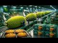 Production Process Of Jackfruit Cakes In A Factory Almost No One Has Seen!