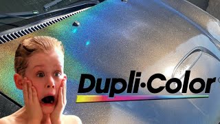 Dupli Color Paint Job