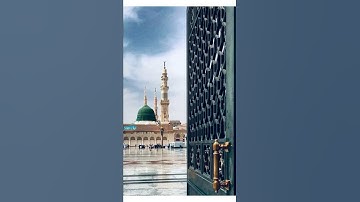 الشيخ محمد ايوب تلاوة خاشعة " قصيرة