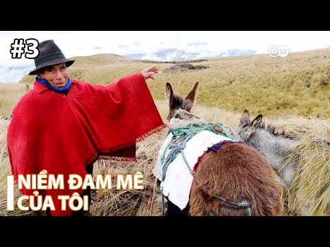 Video Người bảo tồn nghề khai thác băng | Tập 03 | My... - youtube