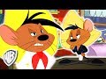 Looney Tunes en Latino | Lo Mejor de Speedy Gonzales | WB Kids