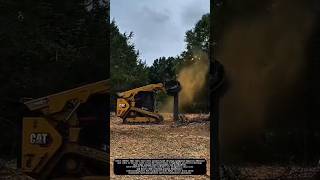 Powerful Skid Steer Forestry Mulcher in Action! #shorts