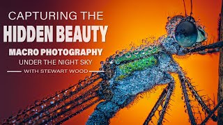 Capturing the Hidden Beauty: Macro Photography Under the Night Sky