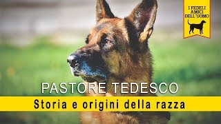 Pastore Tedesco - Storia e Origine della razza by RUNshop 15,337 views 4 years ago 6 minutes, 21 seconds