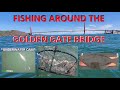Halibut & Dungeness Crab | San Francisco Bay Area Fishing Trip