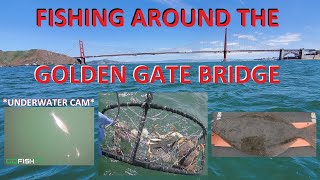 Halibut & Dungeness Crab | San Francisco Bay Area Fishing Trip