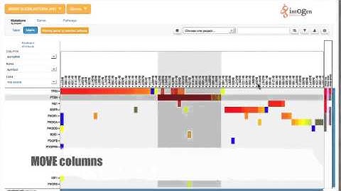 Interactive Heatmaps with jHeatmap