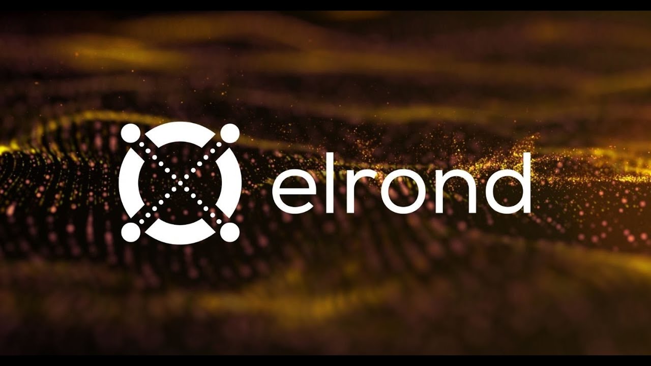 Elrond – EGLD is best coin to HODL???!!!!