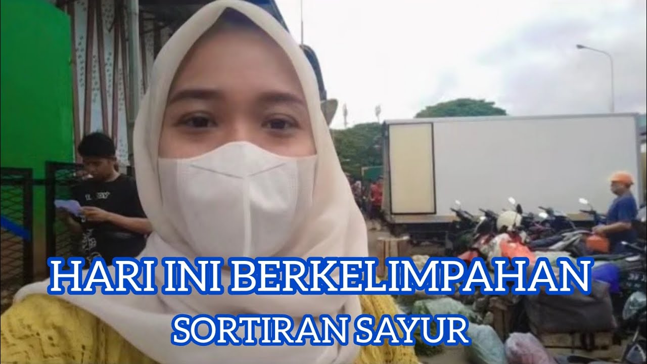 HARI INI BERKELIMPAHAN SORTIRAN SAYUR 😰😧😮😯
