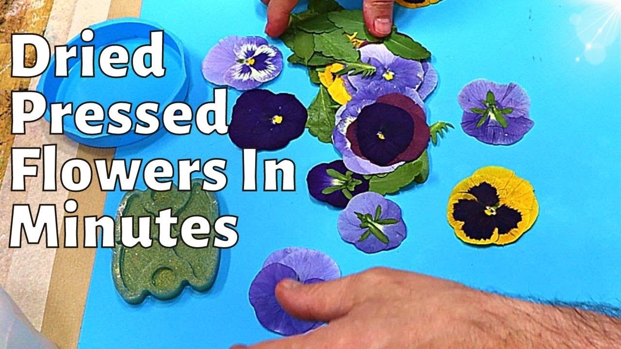 How to Press Flowers in Minutes  Microwave Flower Press - AB Crafty