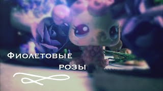 LPS: «Фиолетовые розы» - мини-фильм для - F E L I S I T Y - LPS: «Фиолетовые розы» - мини-фильм для - F E L I S I T Y -