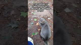 Go Call Ur Little Lap Tramp, Call Ur Mom Toodont Care