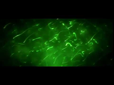Intro no text