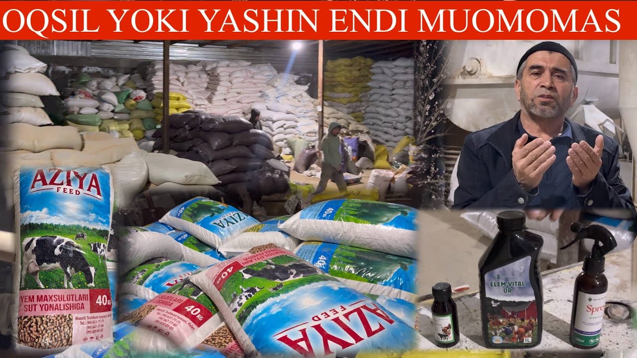 UZOQ KUTILGAN😳KOTTA YANGILIK ENDI XAMMASI XAL B✊YEMCHI XOJI AKADAN💥VIDEO ALBATTA K🤝