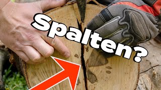 Brennholz Zwei Jahre Ablagern Ist Quatsch Hier Verliert Dein Holz Heizenergie...