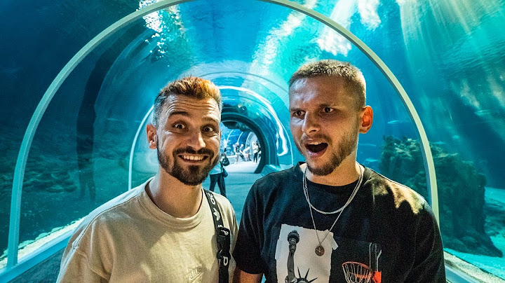 NAJLEPSZE ZOO W POLSCE? #zoo
