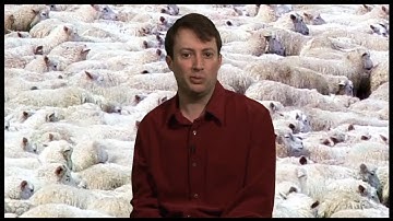 Allegiance to The Welsh | David Mitchell