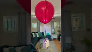 Asmr Super And Most Satisfying Stuff Toy Hot Air Balloon