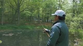 Pond Fishing: Bedford County, Pennsylvania