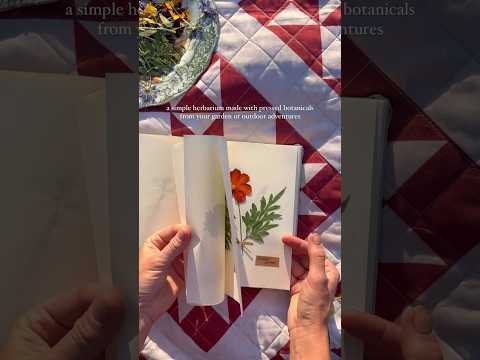 Making an Herbarium