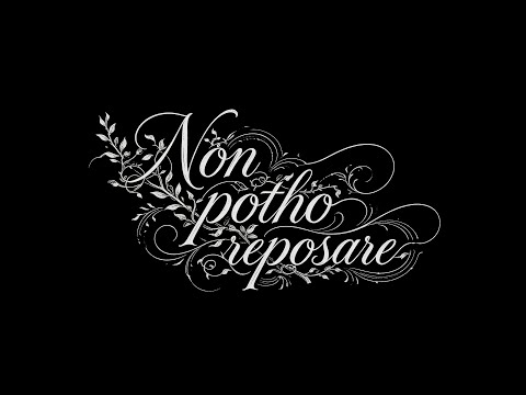 NON POTHO REPOSARE - Andrea Skizzo Mulargia (Official Video)