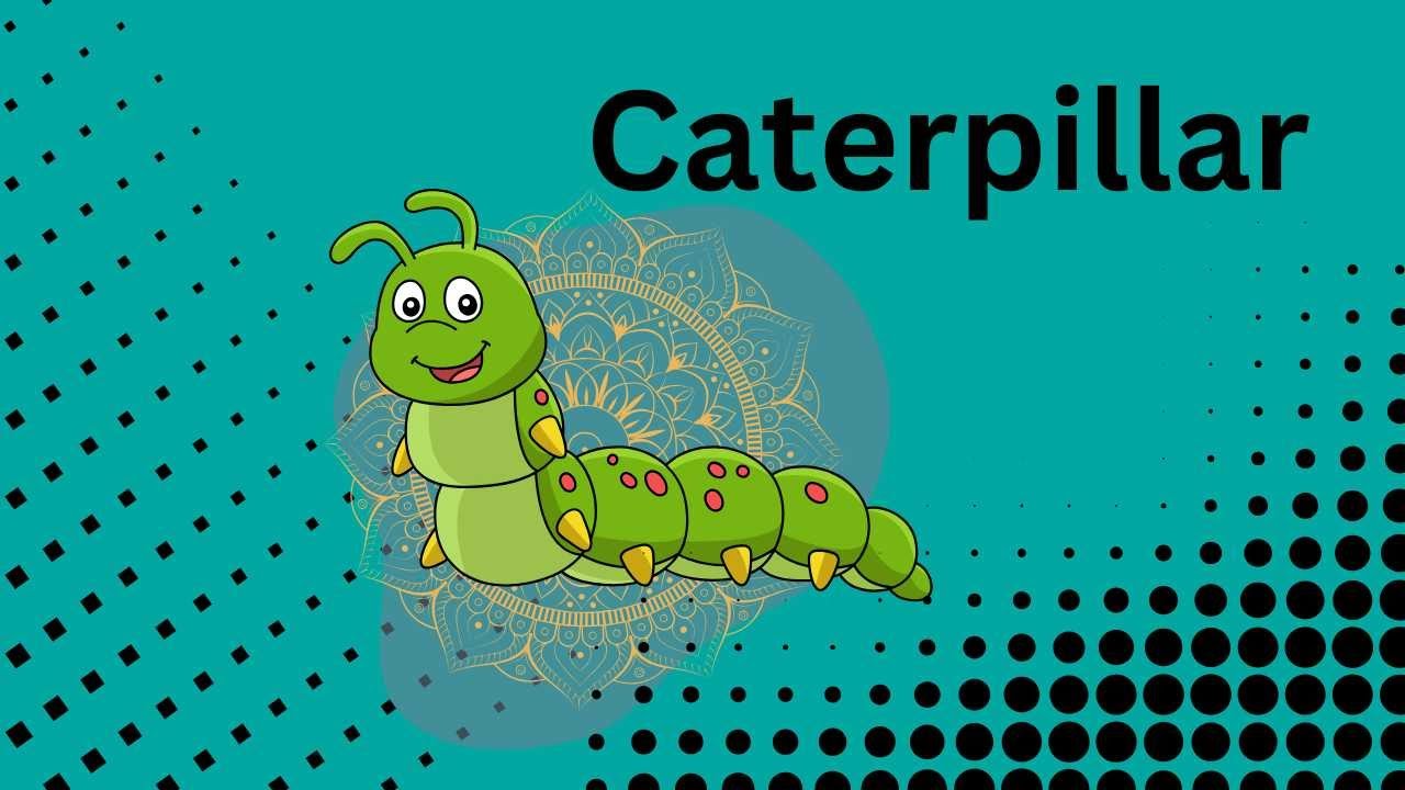 "Caterpillar "Nursery rhymes song, Animal Song, kids song, education learning
