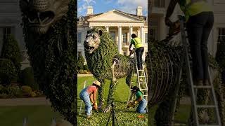 The Process of Creating This Lion Topiary Will Mesmerize You #satisfying #gardenhacks #topiary