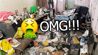 🐶THE HUSKY, THE LITTLE HOUSEBREAKER, STRAIGHT AWAY MADE A MESS OF THE ROOM!🤮#cleaning #cleanwithme
