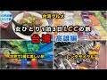 【女ひとり旅】タイガーエアーで台湾縦断!新幹線って高雄駅から乗れないの?【5,000元当選😁】