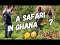 Up Close & Personal - My Safari In Ghana 🇬🇭 Experience
