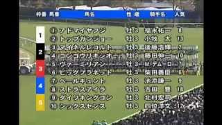 【ディープインパクト】第４戦 2005 皐月賞