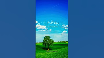 #القرانالكريم #القارئ #عبدالباسط_عبدالصمد #تلاوات #راحة_نفسية #قراءة_خاشعة #القدس #reels #fyp #quran