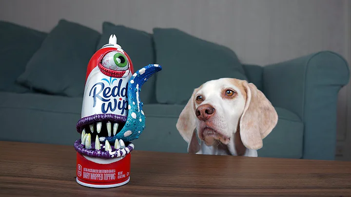 Dogs vs Annoying Whipped Cream Prank! Funny Dogs M...
