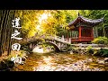 Chinese Ambient Music – Soft Guzheng with Flowing Water Ambience