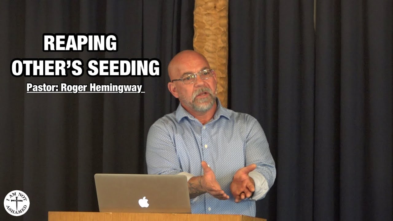 John 4 35 38 Explain John 4 35 38 Explain