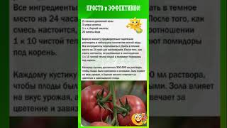 Крепкие и сочные томаты #shorts #рецепты #советы