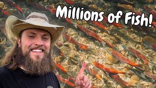 I Witnessed One of Nature's Most Incredible Migrations!!