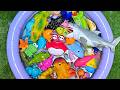 Learn Sea Creatures for kids | Learn &amp; Play with Ocean Animals with exciting playtime!